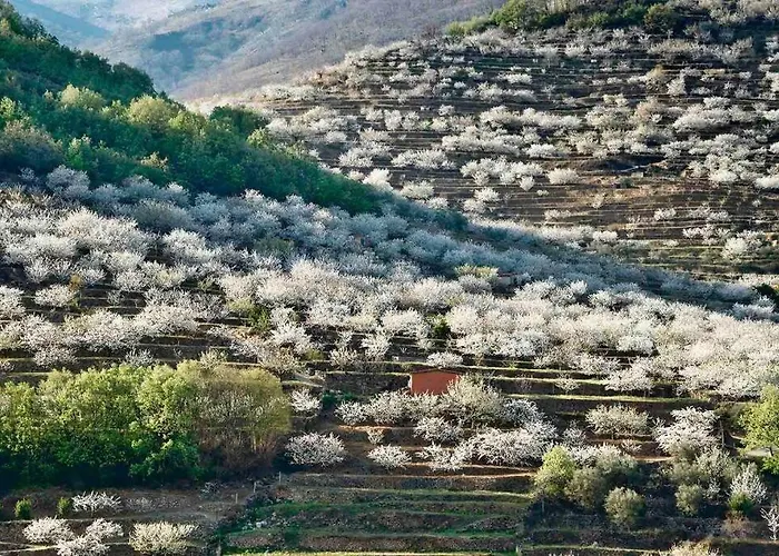 דירה Rural Se De Un Lugar אל טורנו